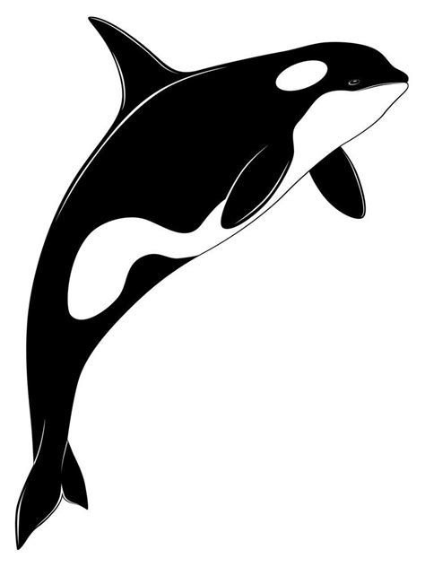 orca para dibujar